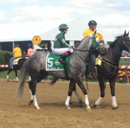 Dirty Jobs: Jockey