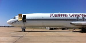 Kalitta Charters cargo plane dubs as a horse plane.
