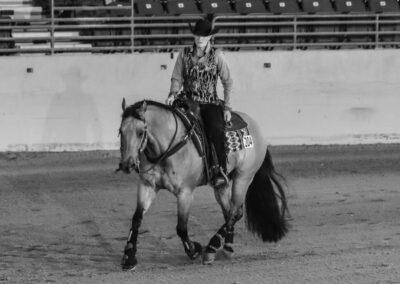 horse Lucinda with rider in a ring