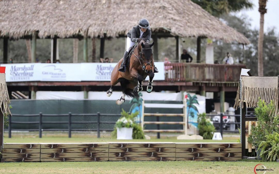 Winning Ways – More Success Stories With SynNutra Equine