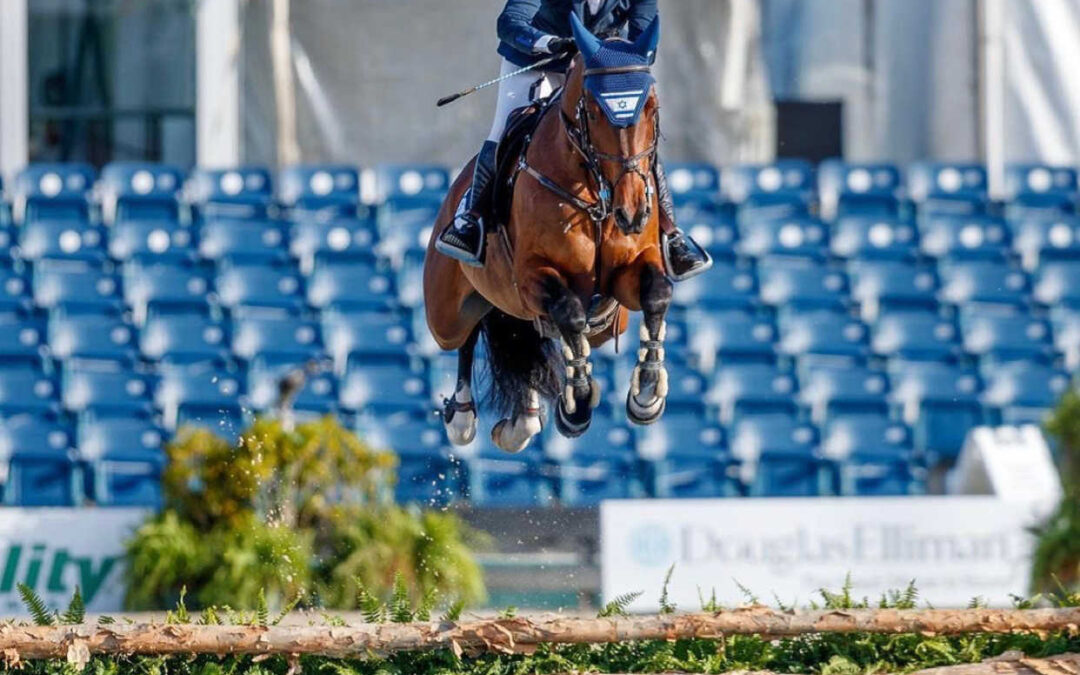An Unbelievable Horse Rescue, Spring Contest Winner and exciting updates!