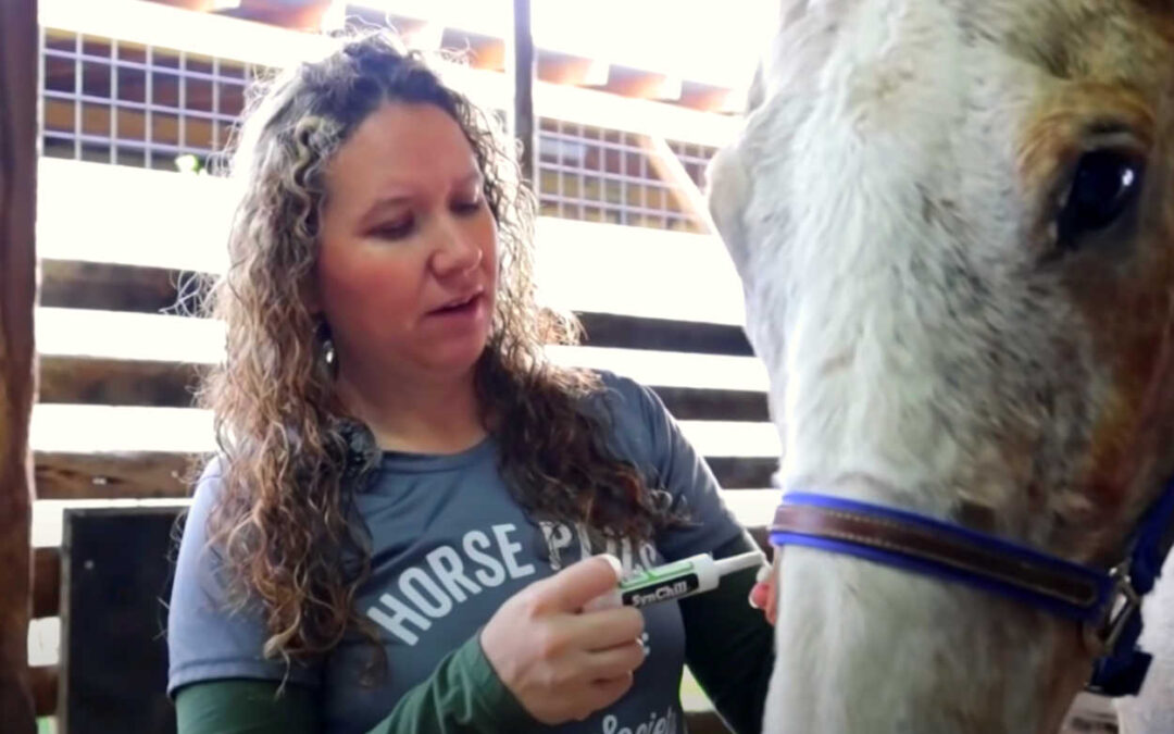 SynNutra Partners With Horse Plus Humane Society