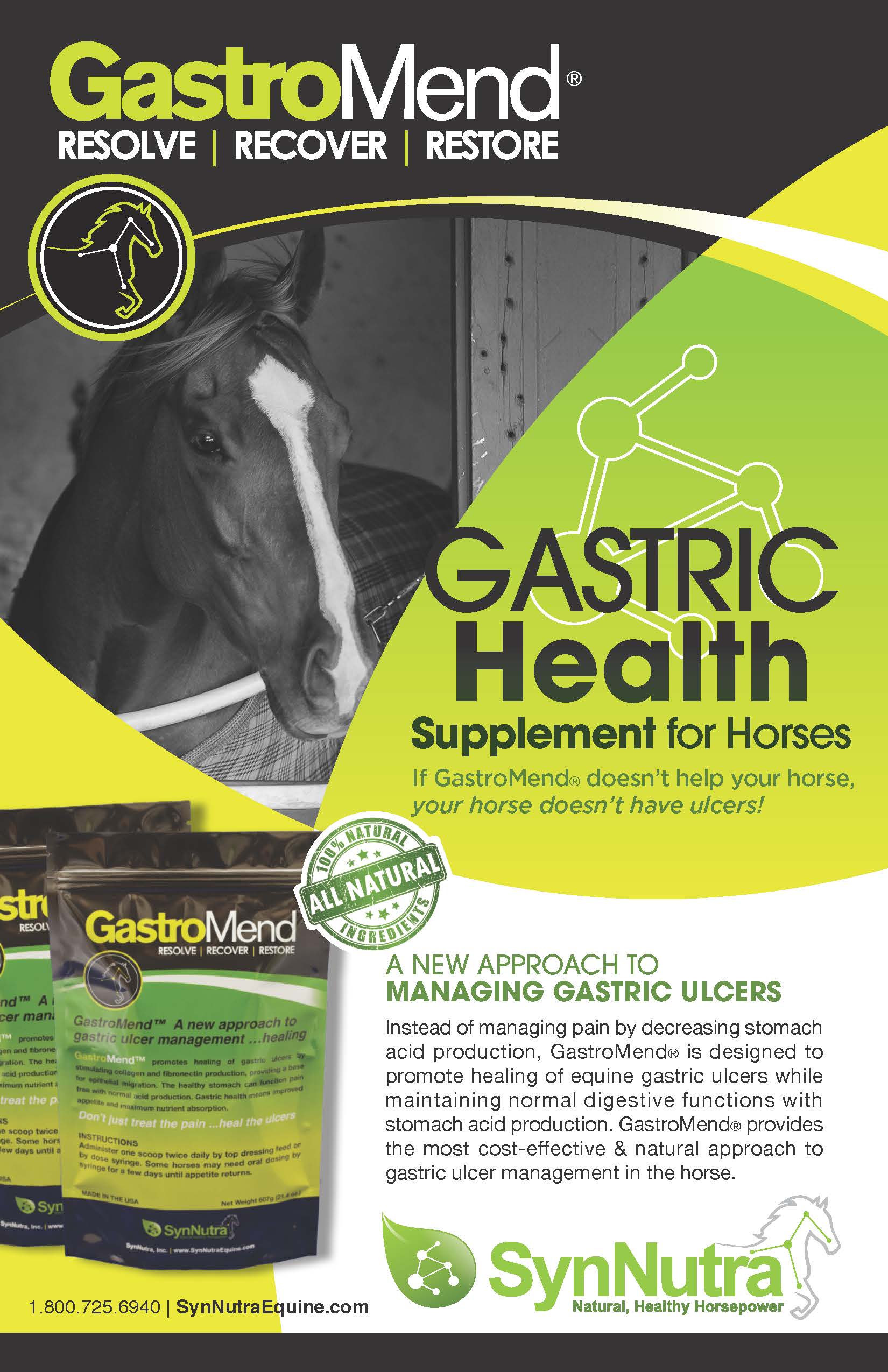 SynNutra Equine GastroMend-Ulcer Supplement for Horses Inc.