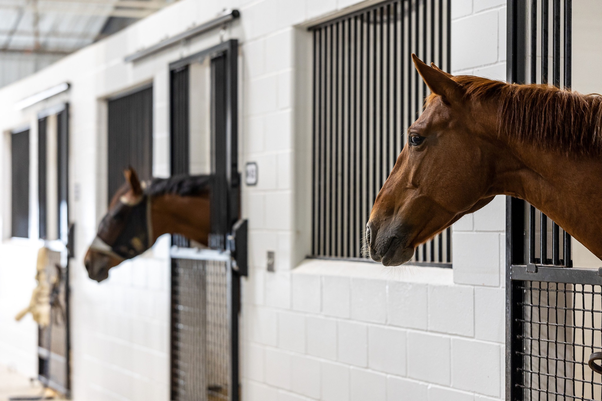wec1 World Equestrian Center