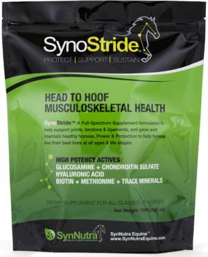 Front of SynoStride Bag