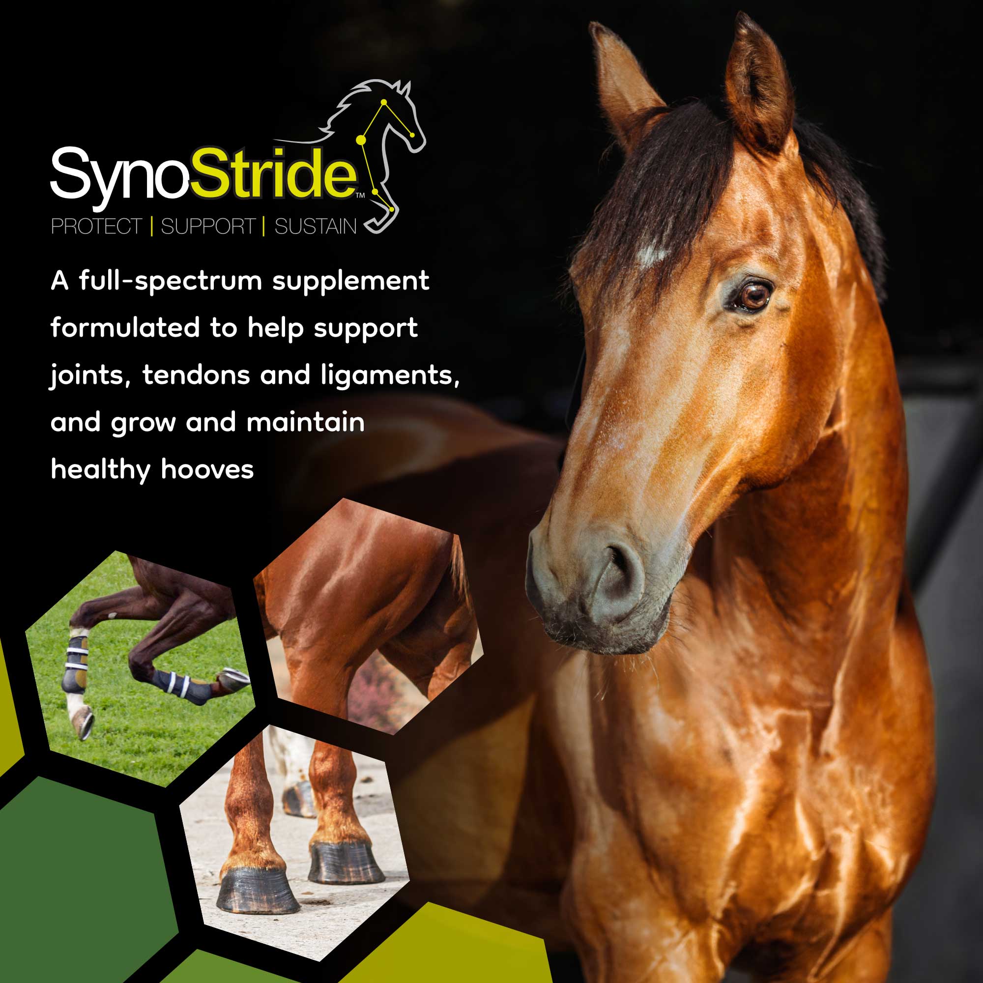 All natural equine supplements