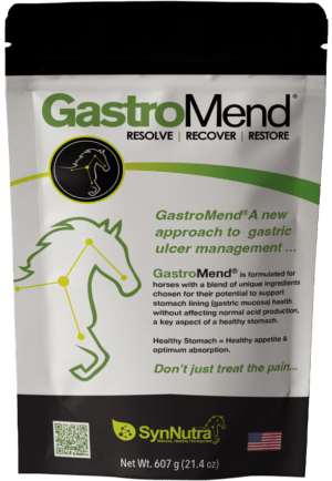 GastroMend Equine Suppliment