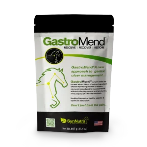 GastroMend