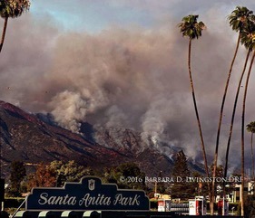 Disaster Prep: April Edition