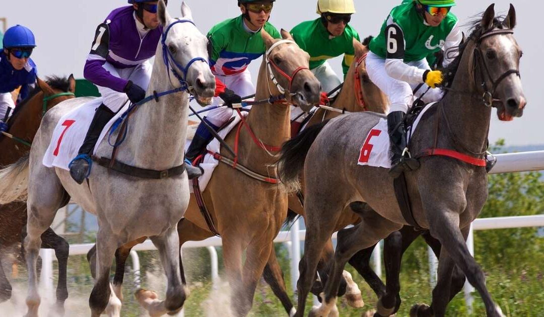 Understanding Exercise-Induced Pulmonary Hemorrhage (EIPH) in Horses