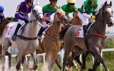 Understanding Exercise-Induced Pulmonary Hemorrhage (EIPH) in Horses