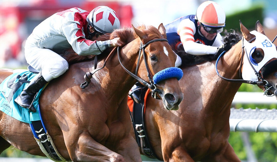 A Practical Guide to Managing Bone Development in Young Racehorses