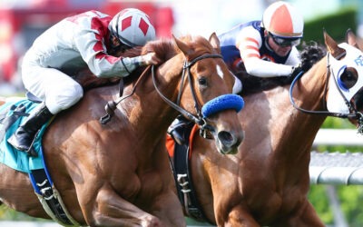 A Practical Guide to Managing Bone Development in Young Racehorses