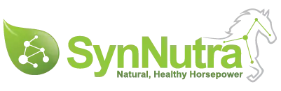 logotype